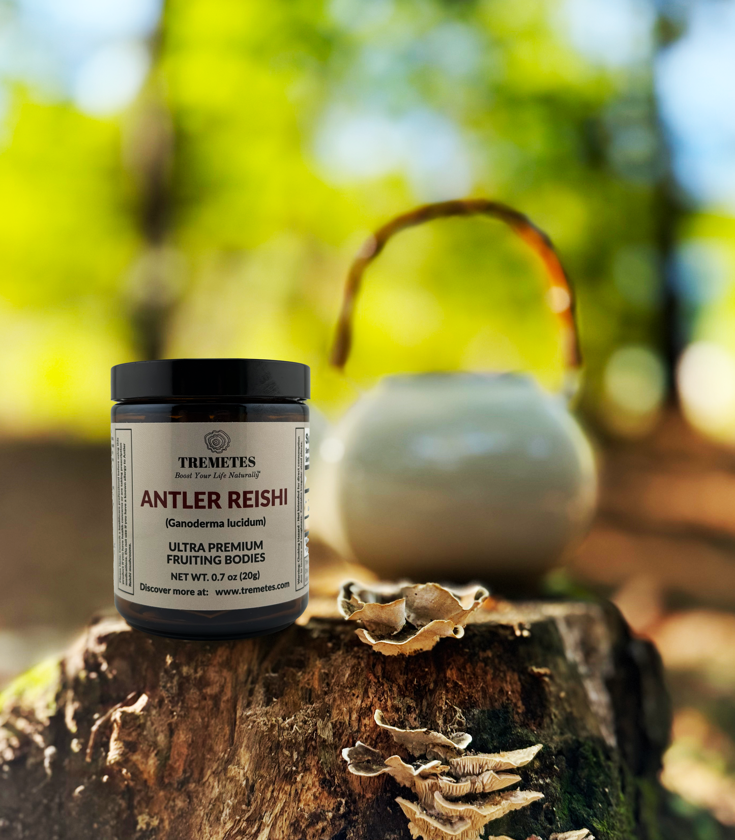 Tremetes Antler Reishi Fruiting Body | 37.8% Beta-Glucans (Lab Verified) | No Extracts, No Fillers, No Additives | Encourages Calm, Vitality & Enduring Well-Being