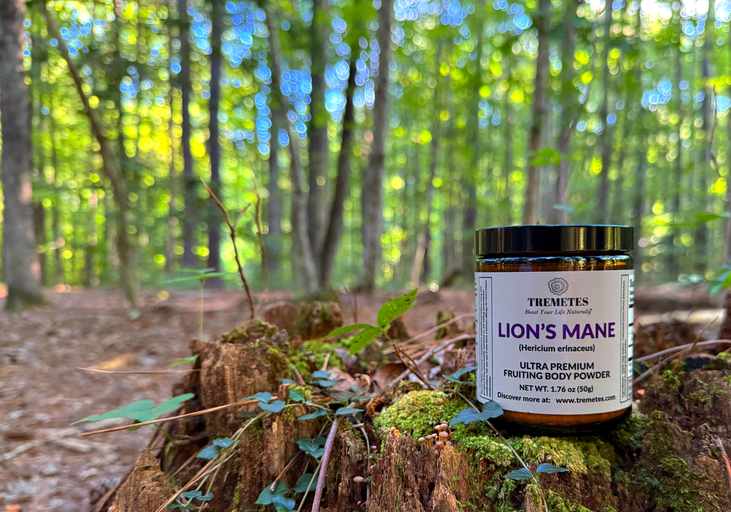 Tremetes Lion's Mane Fruiting Body Powder | 15.3% Beta-Glucans (Lab Verified) | No Extracts, No Fillers, No Additives | Supports Overall Brain Function and Nervous System Health