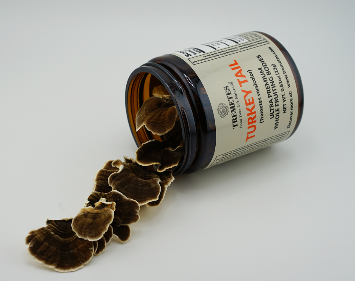 Tremetes Turkey Tail Fruiting Bodies | 41.2% Beta-Glucans (Lab Verified) | No Extracts, No Fillers, No Additives | Supports Immune and Gut Health