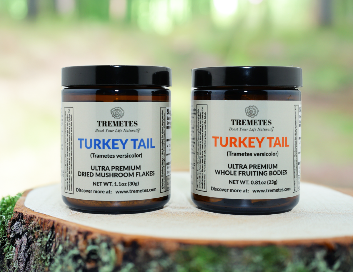Tremetes Enthusiast Dual Pack - Ultra Premium Dried Turkey Tail Mushrooms