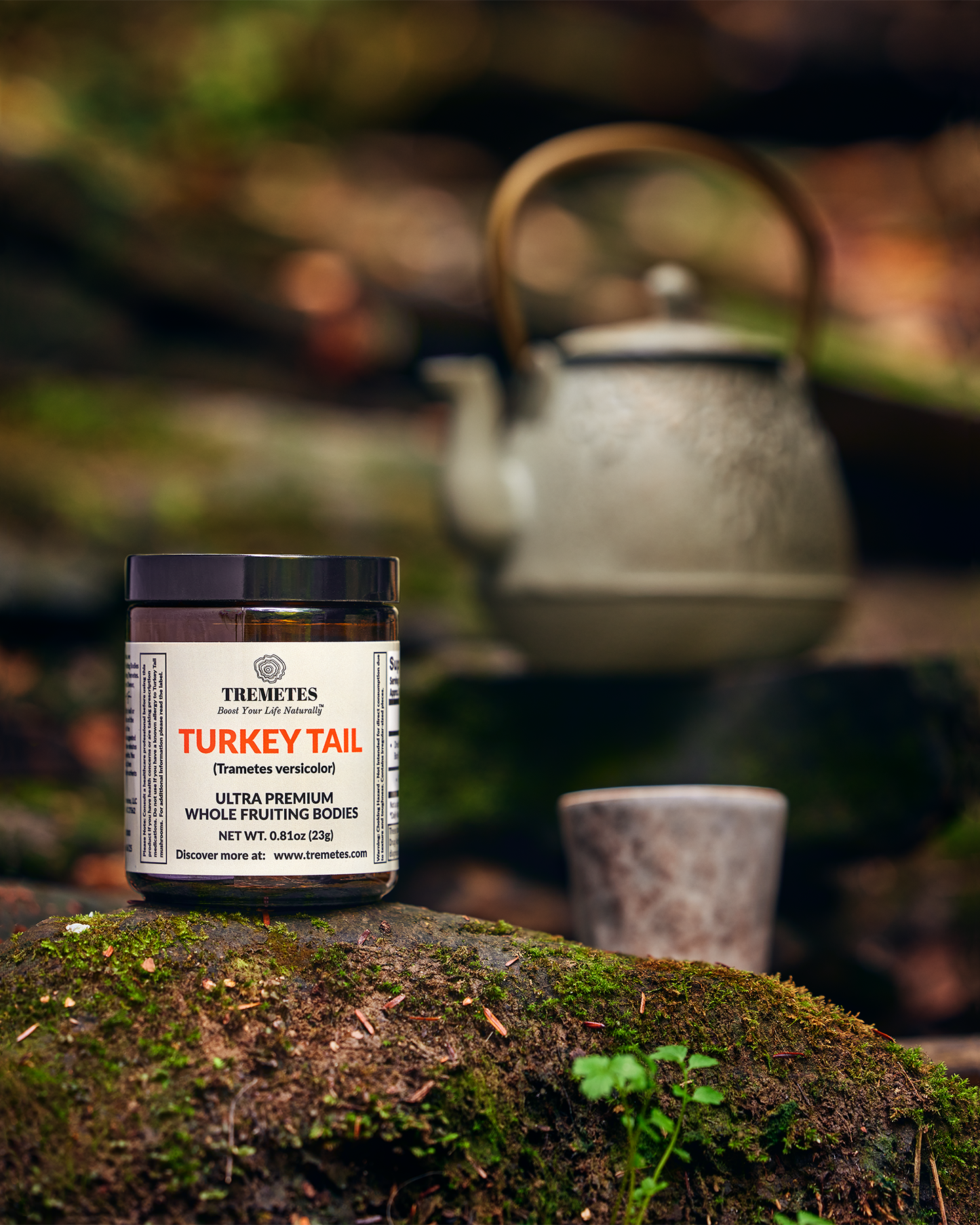 Tremetes Turkey Tail Fruiting Bodies | 41.2% Beta-Glucans (Lab Verified) | No Extracts, No Fillers, No Additives | Supports Immune and Gut Health