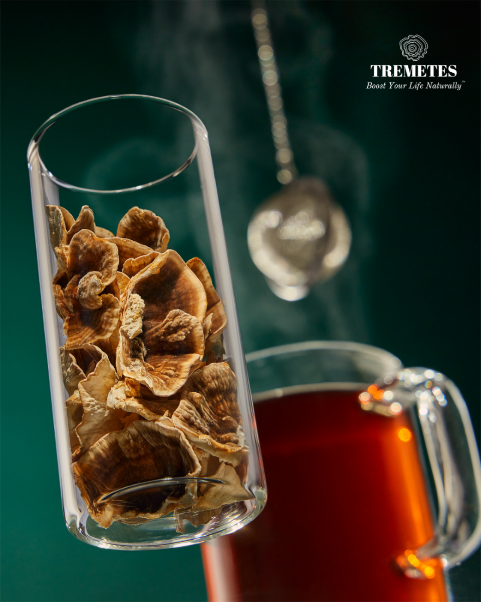 Tremetes Enthusiast Dual Pack - Ultra Premium Dried Turkey Tail Mushrooms