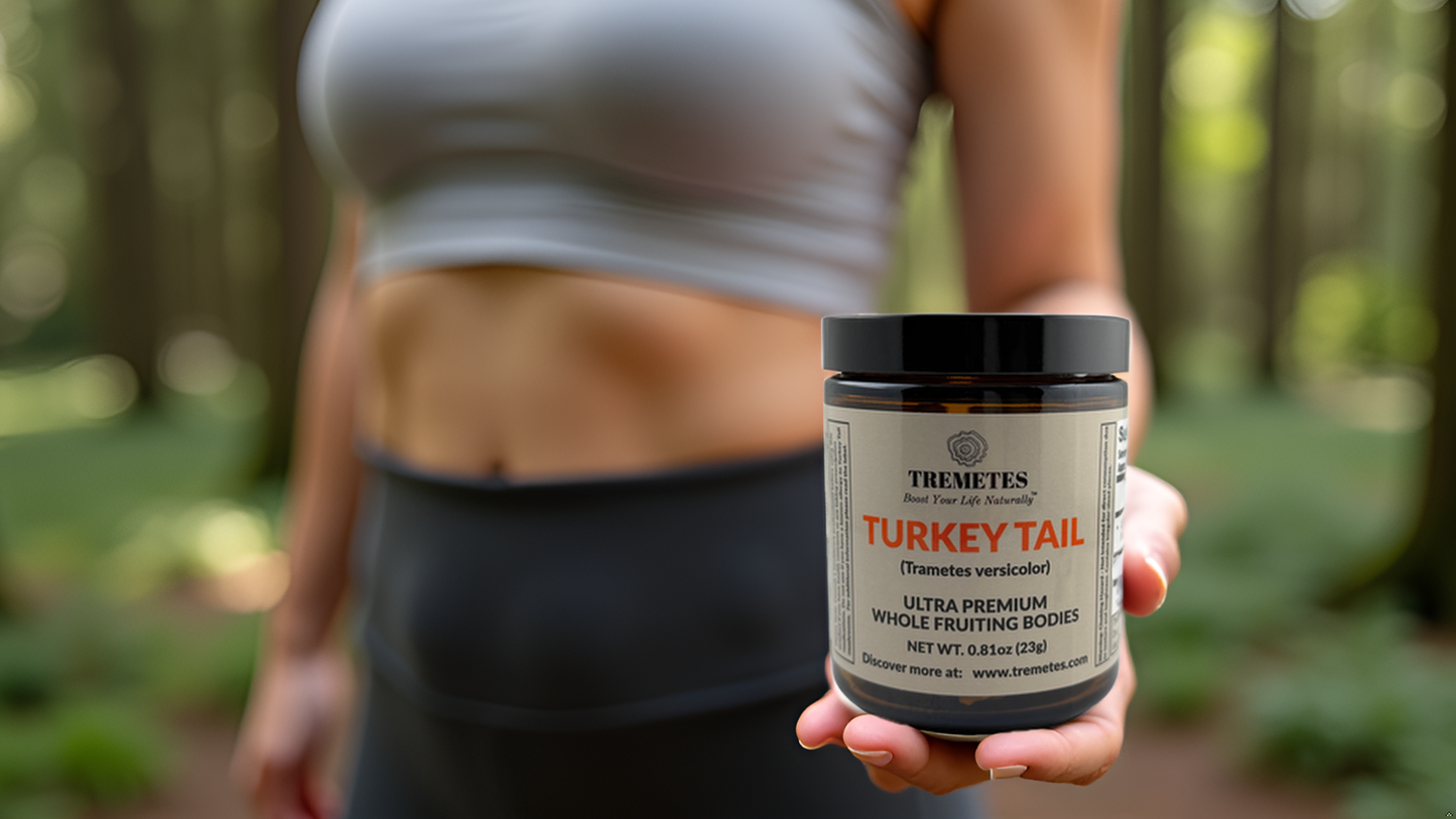 Tremetes Turkey Tail Fruiting Bodies | 41.2% Beta-Glucans (Lab Verified) | No Extracts, No Fillers, No Additives | Supports Immune and Gut Health