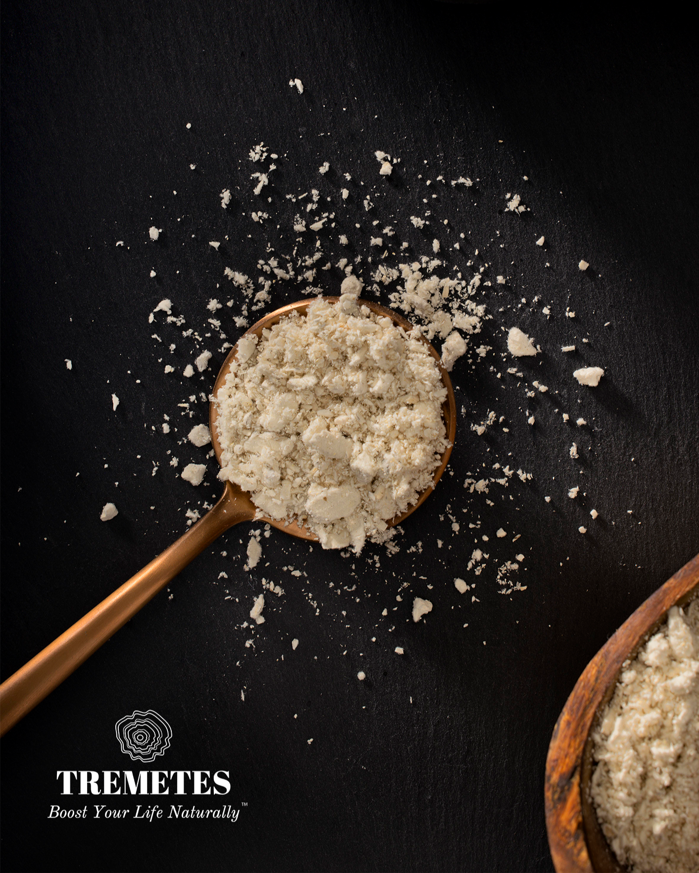 Tremetes Enthusiast Dual Pack - Ultra Premium Dried Turkey Tail Mushrooms